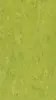DLW Marmorette linoleum, Lime Green 