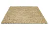 066907