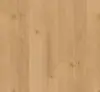 Parador Vinyl Basic 2.0 Plank - Eg Infinity natur, Levende struktur 