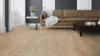 Wood Edition Perform, Plank, Oak Gent