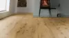 Wood Edition Perform, Plank, Oak York