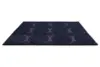 Blue 039008