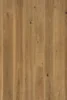 Augsburg Eg Plank 