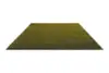 010107 Olive-deep forest
