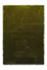011907 Olive-deep forest