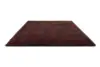 011900 Plum-fig