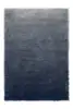 011904 Silver-polar night
