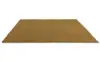497006 Golden mustard