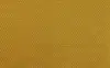 497006 Golden mustard