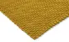 497006 Golden mustard