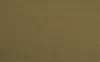 497207 Thyme pine