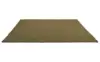 497207 Thyme pine