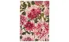 Fuchsia 142402