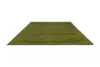Orla Kiely - Solid Stem Fern 