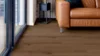 Ter Hürne, Tailored Collection, Plank,  Oak Bordeaux