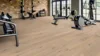 Ter Hürne, Tailored Collection, Plank,  Oak Sancerre