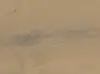 Haro plankegulv -  Eg sand grå Universal børstet nD