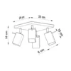 Loftslampe MERIDA 4 sort