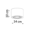 Plafond BASIC 1 naturtræ