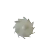Diameter 100 mm.