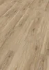 Ter Hürne, Rigid - Friends Oak Vincent, plank