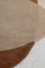 087801 Caramel