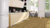 DISANO Plankegulv LifeAqua XL, Bjergeg
