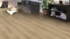 DISANO Plankegulv LifeAqua, Eg Sheffield puro