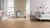 Hywood Classic, Oak Pirin