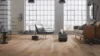 Wood Edition Comfort, Plank, Oak Seville