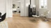 Element Collection, Oak Plaza Mayor, 3-stav