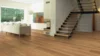 Noblesse Collection, Oak Monti, ekstra bred plank