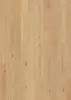 BOEN Eg Animoso, Plank 