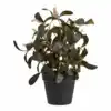 Kunstig grøn plante, højde 35 cm.