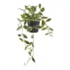 Voksblomst, kunstig grøn plante
