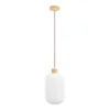 Loftlampe Argalo i hvidt glas