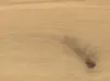 Haro plankegulv - Eg invisible Sauvage høvlet nL+