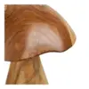 Kodi, Dekorations Svampe