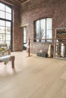 Tarkett, Plank XT - Shade Eg Cream White 