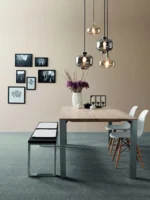 VORWERK Passion 1001