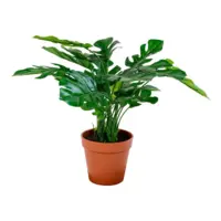 Kunstig Monstera plante, 45 cm.