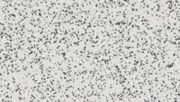 Tarkett iQ Surface, Contrast Airy 